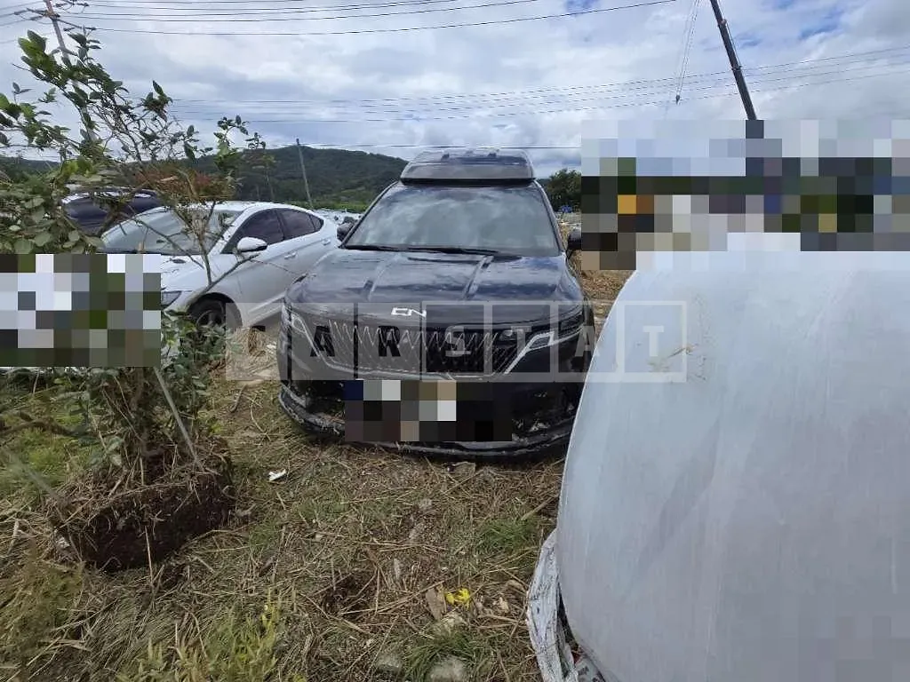 Photo 2 of 9: 2022 Kia Carnivals — Korean insurance auction