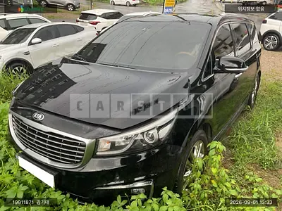 2016 Carnival carnival limousine