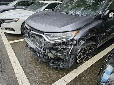 Photo 1 of 50: 2019 Honda CR-V 4WD — Korean insurance auction