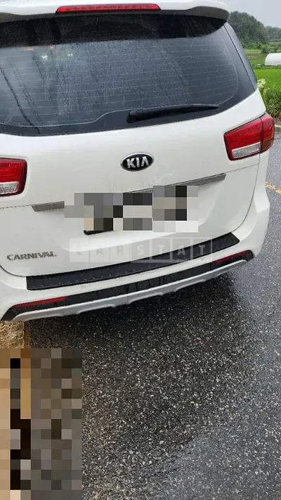 Photo 1 of 8: 2015 Kia Carnivals — Korean insurance auction