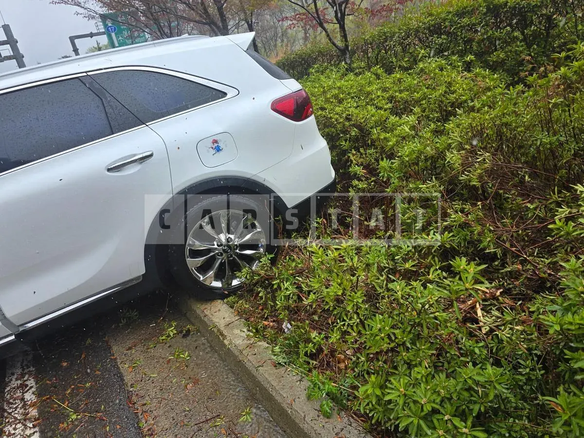 Photo 2 of 24: 2019 Kia Sorento — Korean insurance auction