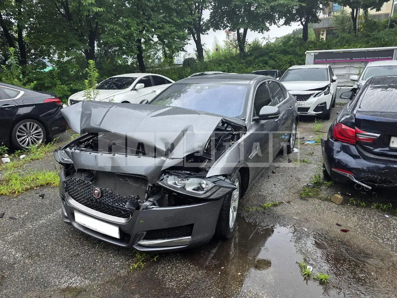 Photo 2 of 7: 2016 Jaguar XF 20d, VIN SAJBB4BN8HCY33799 — Korean insurance auction