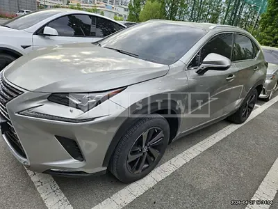 Photo 1 of 19: 2020 Lexus NX300h — Korean insurance auction