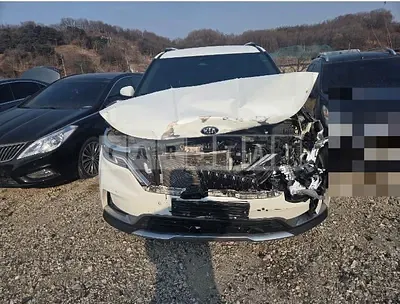 Photo 1 of 9: 2020 Kia Carnivals — Korean insurance auction