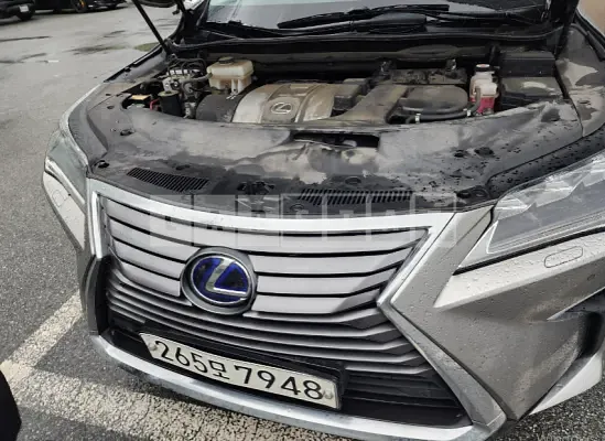Photo 2 of 11: 2019 Lexus RX450h — Korean insurance auction