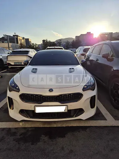 2020 Stinger stinger
