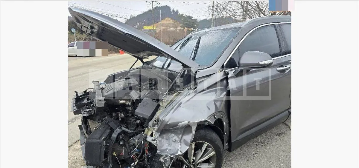 Photo 2 of 15: 2019 Hyundai Santa Fe TM Diesel — Korean insurance auction