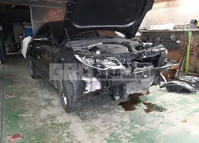 Photo 1 of 14: 2019 Kia K5 — Korean insurance auction