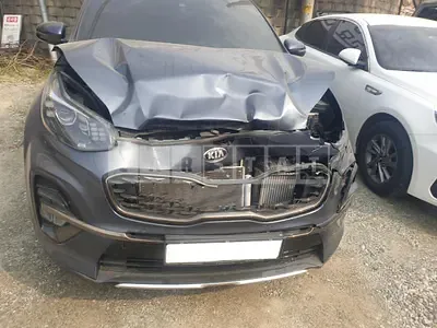 Photo 1 of 17: 2019 Kia Sportage, VIN KNAPN813BKK727225 — Korean insurance auction