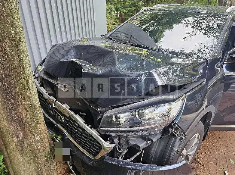 Photo 2 of 7: 2018 Kia Sorento — Korean insurance auction