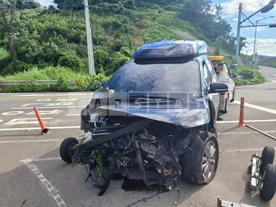 Photo 1 of 17: 2017 Kia Carnival High Limousine 9 -Seater — Korean insurance auction