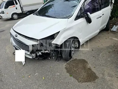 Photo 1 of 15: 2016 Kia Carnival — Korean insurance auction