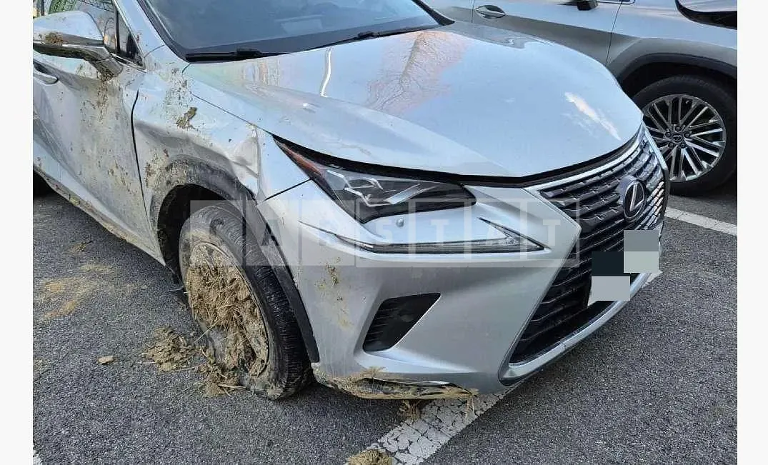 Photo 2 of 24: 2017 Lexus NX300h — Korean insurance auction