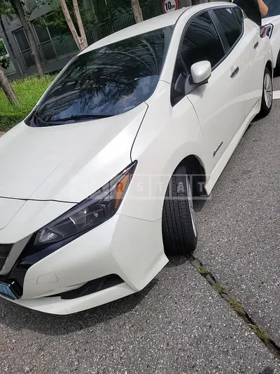 2019 Nissan Leaf EV