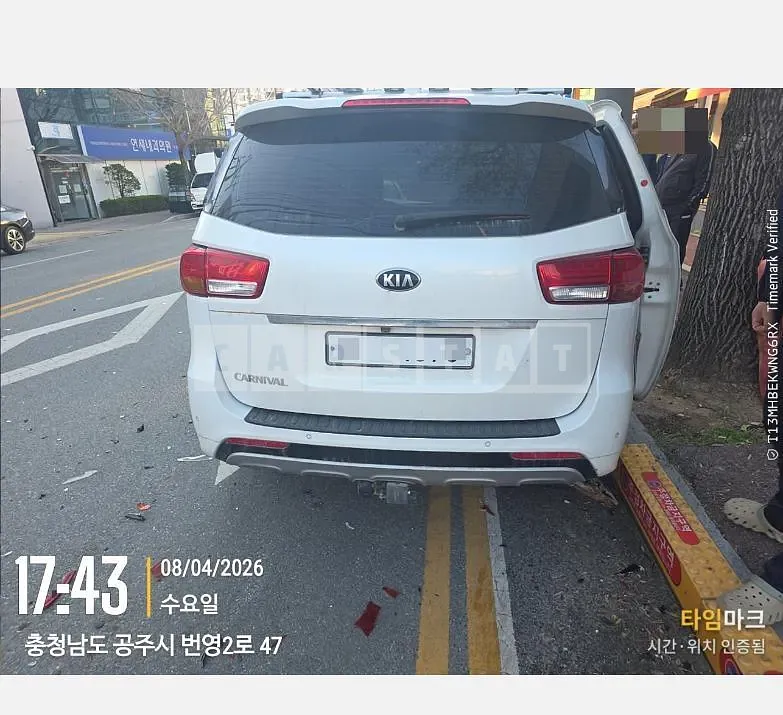 Photo 2 of 9: 2015 Kia Carnivals — Korean insurance auction