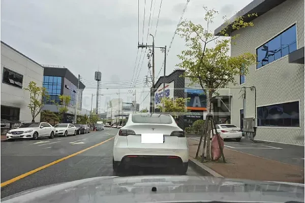 Photo 2 of 12: 2024 Tesla Model Y RWD — Korean insurance auction