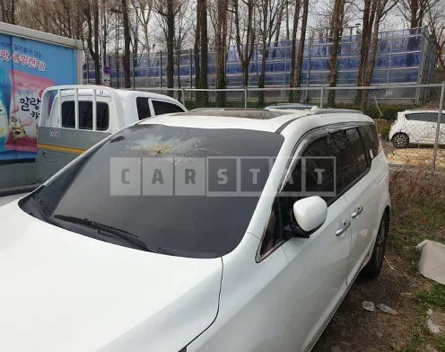 Photo 2 of 13: 2019 Kia Carnival — Korean insurance auction