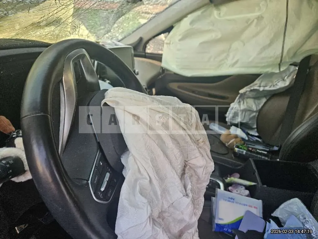 Photo 2 of 15: 2019 Hyundai Santa Fe TM Gasoline — Korean insurance auction
