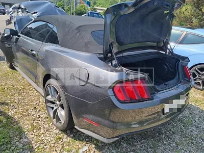 Photo 1 of 10: 2017 Ford Mustang GT 5.0 Convertible — Korean insurance auction