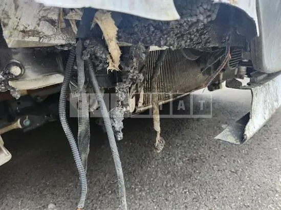 Photo 2 of 50: 2019 Hyundai IONIQ Electric — Korean insurance auction
