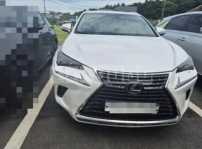 Photo 1 of 34: 2019 Lexus NX300h — Korean insurance auction