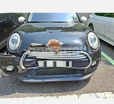 Photo 1 of 62: 2015 MINI Cooper D Five-Door — Korean insurance auction
