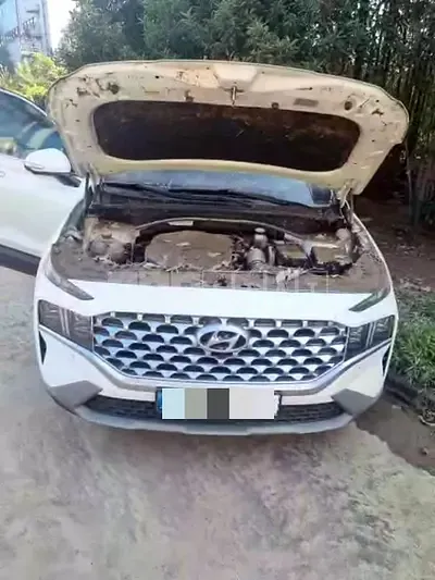 Photo 1 of 24: 2020 Hyundai Calm Santa Fe 2.2 — Korean insurance auction