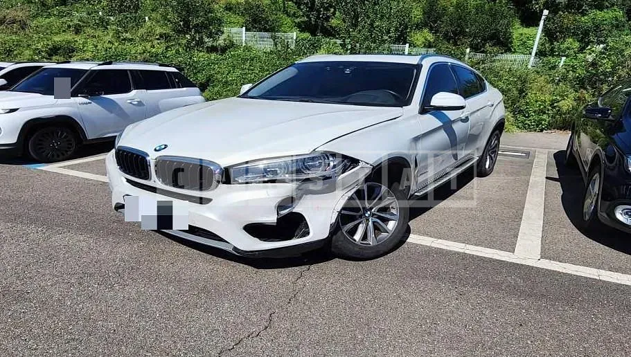 Photo 2 of 31: 2017 BMW X6 xDrive30d — Korean insurance auction