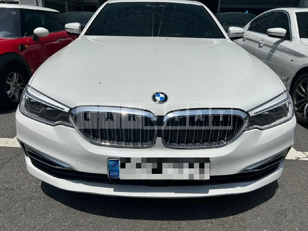 Photo 2 of 2: 2019 BMW (parts) 520d Luxury Light — Korean insurance auction