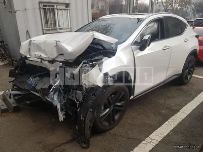 Photo 1 of 17: 2025 Lexus NX350h — Korean insurance auction