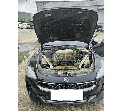 Photo 1 of 20: 2018 Kia Stinger — Korean insurance auction