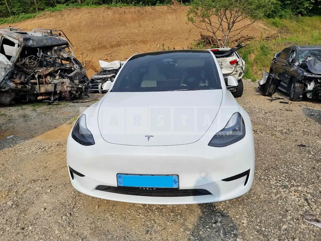 Photo 2 of 17: 2024 Tesla Model Y RWD, VIN LRWYGCFS7RC426317 — Korean insurance auction