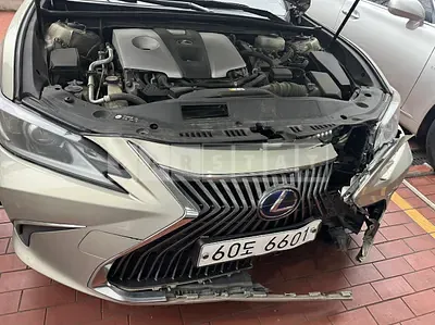 Photo 1 of 16: 2019 Lexus ES300h, VIN JTHB21B10K2009799 — Korean insurance auction