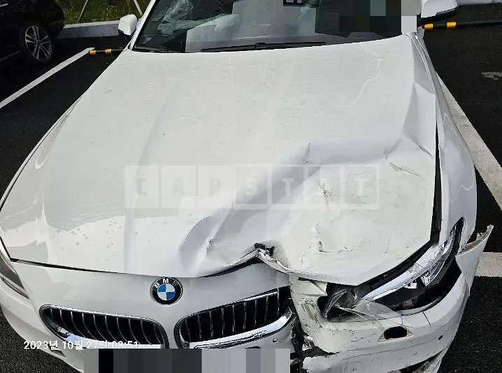 Photo 2 of 10: 2014 BMW 520d xDrive — Korean insurance auction