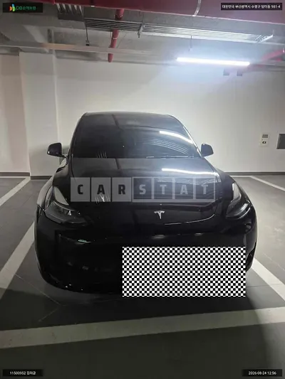 2024 Tesla Model Y RWD