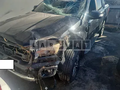 Photo 1 of 14: 2021 Ford Ranger Wildtrak, VIN 6FPPXXMJ2MMU69385 — Korean insurance auction