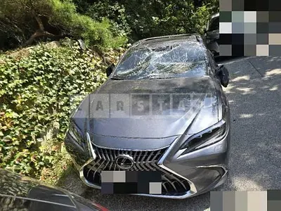 Photo 1 of 60: 2024 Lexus ES300h — Korean insurance auction