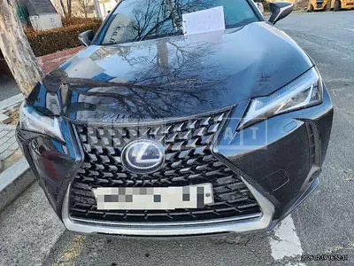 2020 Lexus UX250h 2WD