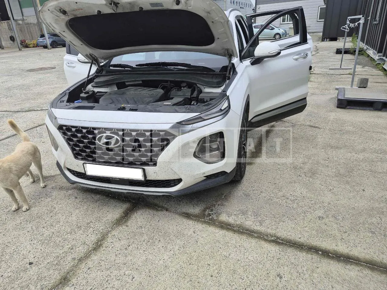 Photo 2 of 11: 2019 Hyundai Santa Fe, VIN KMHS281BBLU228209 — Korean insurance auction