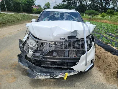 Photo 1 of 50: 2021 Kia Carnival, VIN KNANC81BBMS004700 — Korean insurance auction