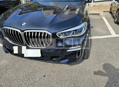 Photo 1 of 87: 2019 BMW X5 Drive — Korean insurance auction