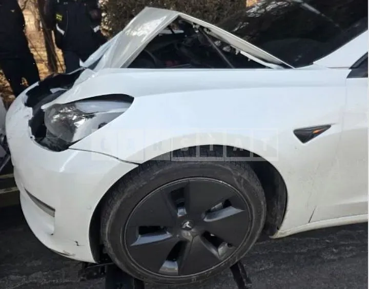 Photo 2 of 6: 2022 Tesla Model 3 Long Range — Korean insurance auction