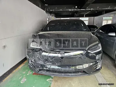 Photo 1 of 94: 2018 Tesla Model X 100d — Korean insurance auction
