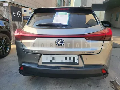 2019 Lexus UX250h AWD