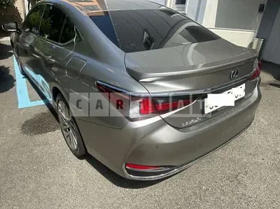 Photo 1 of 29: 2019 Lexus ES300h — Korean insurance auction