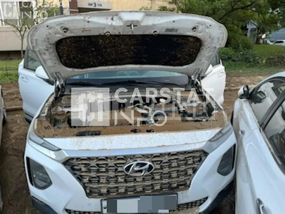 Photo 2 of 4: 2019 Hyundai Calm Santa Fe 2.0T — Korean insurance auction