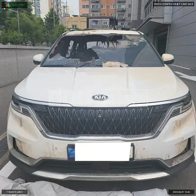 Photo 1 of 19: 2021 Kia Carnival, VIN KNANE81BBMS093791 — Korean insurance auction