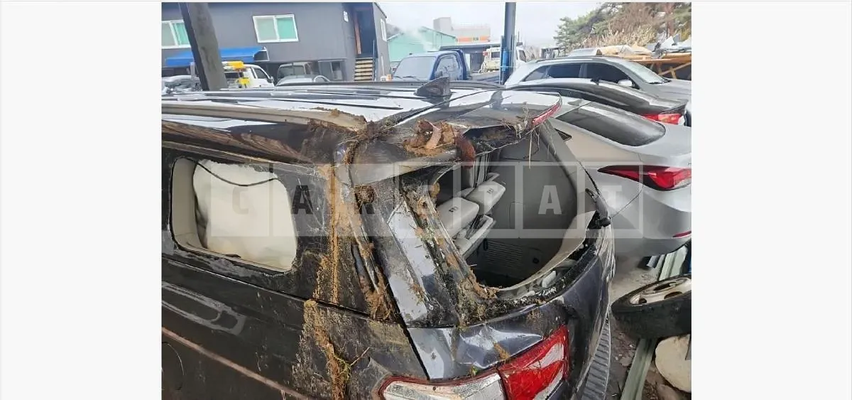Photo 2 of 28: 2017 Kia Carnival Limousine — Korean insurance auction