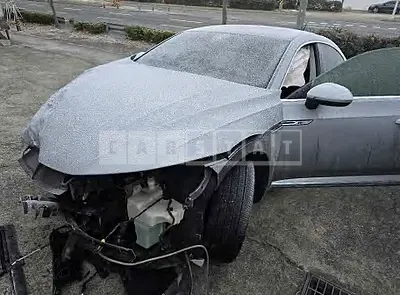 Photo 1 of 18: 2019 Volkswagen Arteon 2.0TDI — Korean insurance auction
