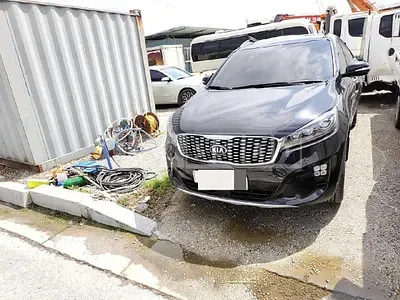 Photo 1 of 17: 2019 Kia Sorento 2.2, VIN KNAPG81BBKA526441 — Korean insurance auction